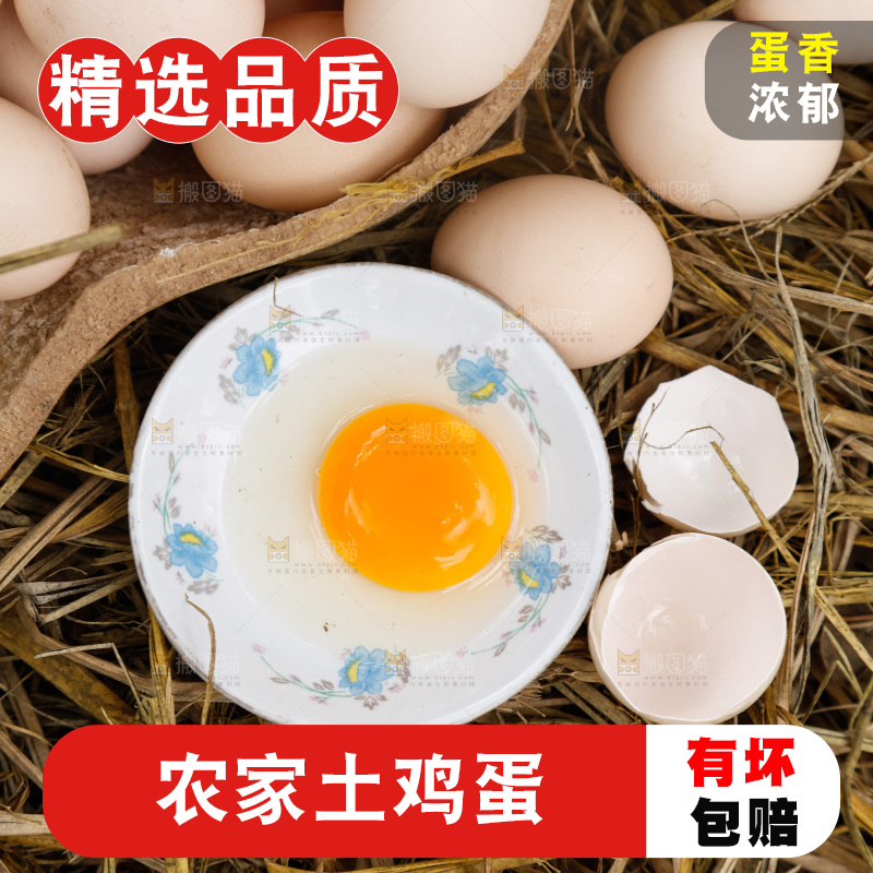 地上放着新鲜土鸡蛋