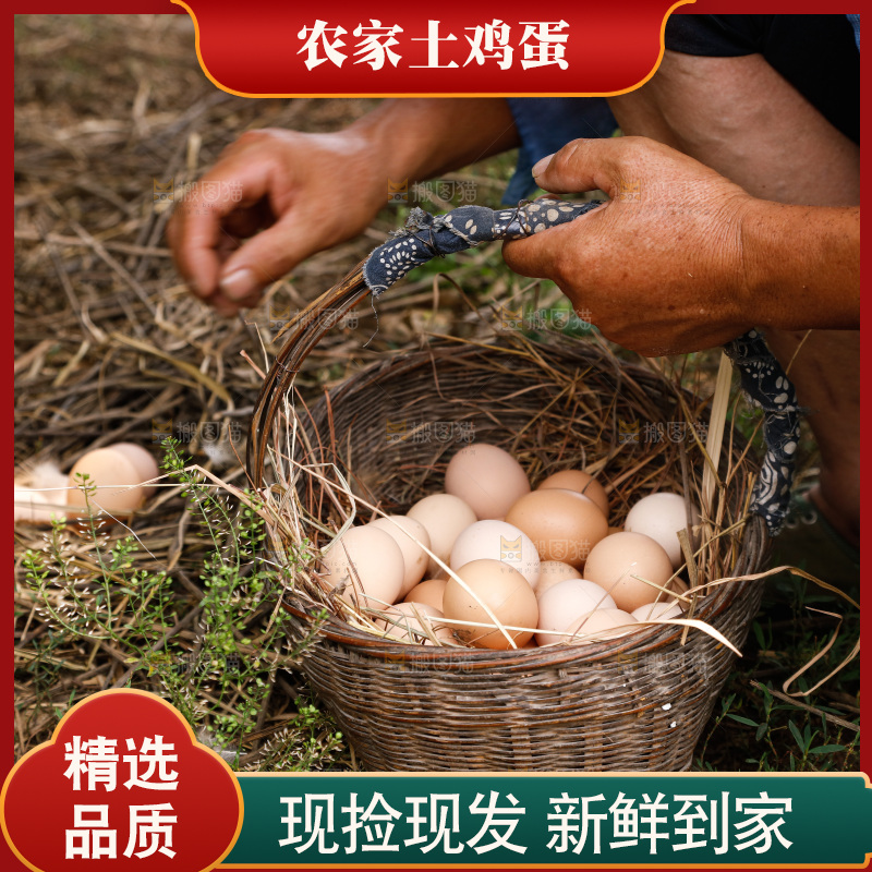 地上放着新鲜土鸡蛋