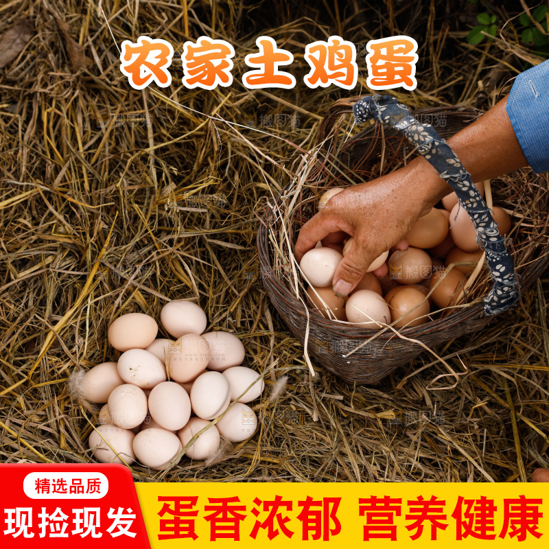 地上放着新鲜土鸡蛋