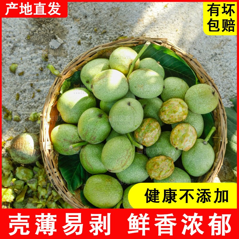 手里拿着青核桃