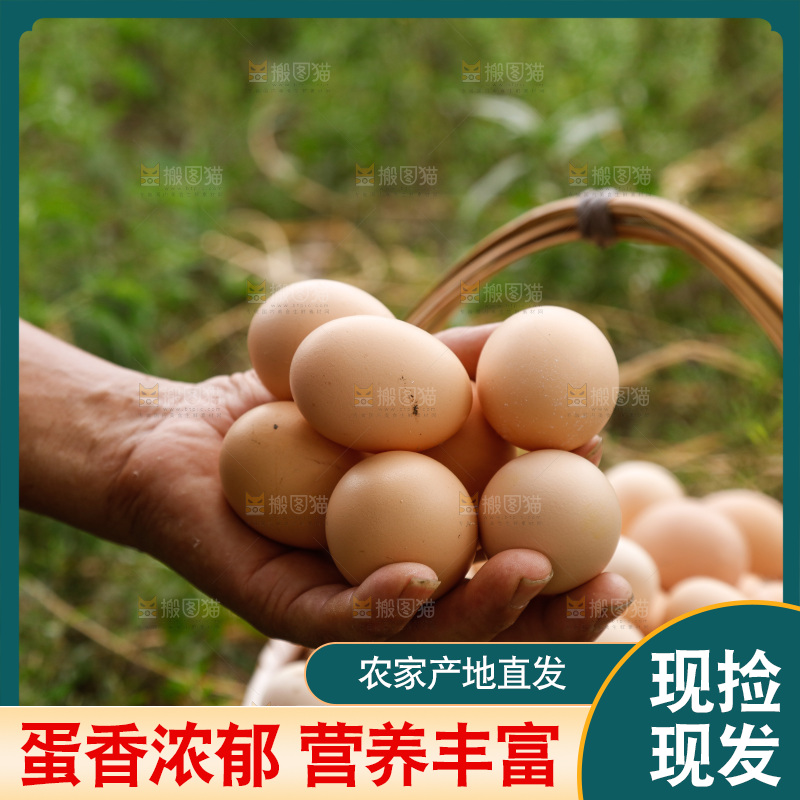 手里拿着土鸡蛋