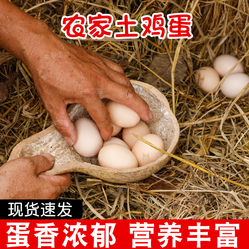 地上放着新鲜土鸡蛋