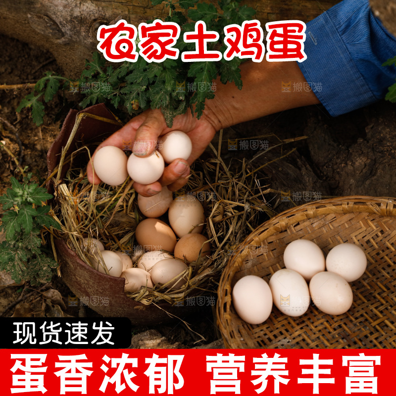 手里拿着土鸡蛋