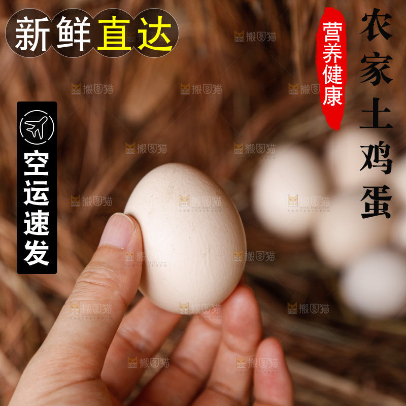 地上放着新鲜土鸡蛋