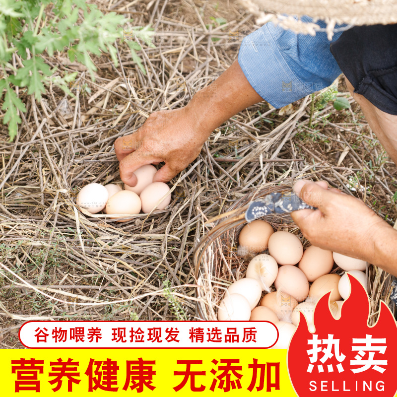 地上放着新鲜土鸡蛋