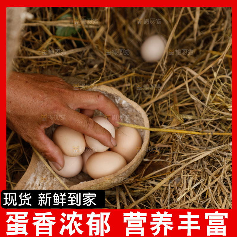 地上放着新鲜土鸡蛋