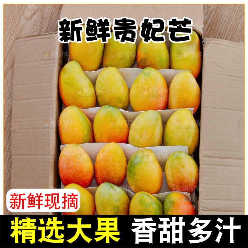 深底上的贵妃芒