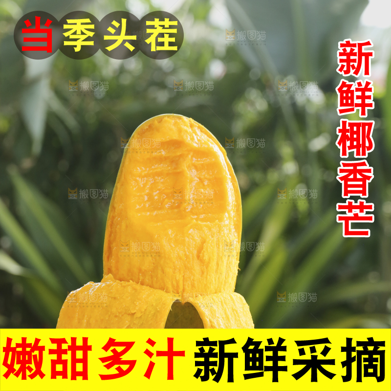 手里拿着椰香芒