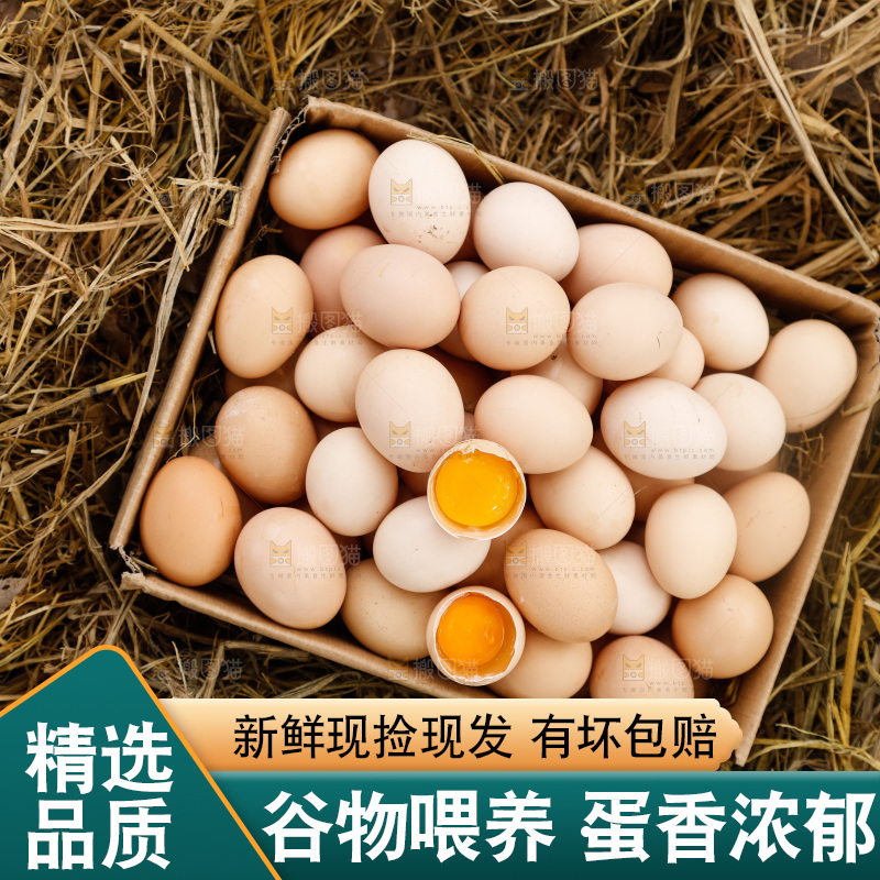 地上放着新鲜土鸡蛋
