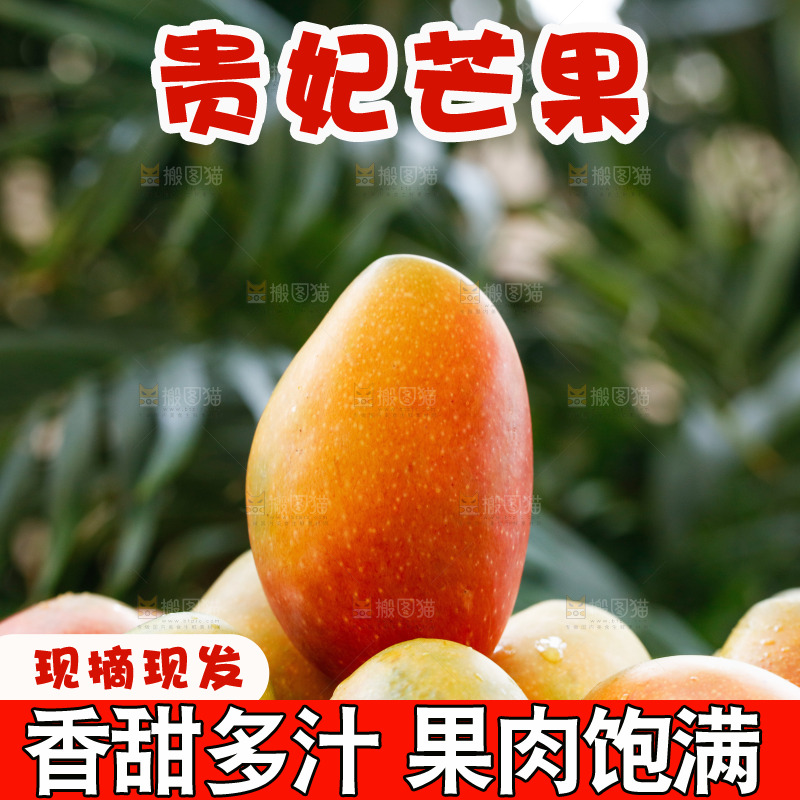 深底上的贵妃芒