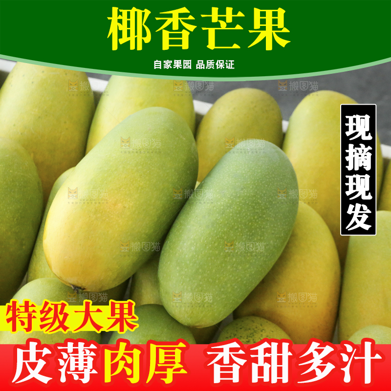 深底上的椰香芒