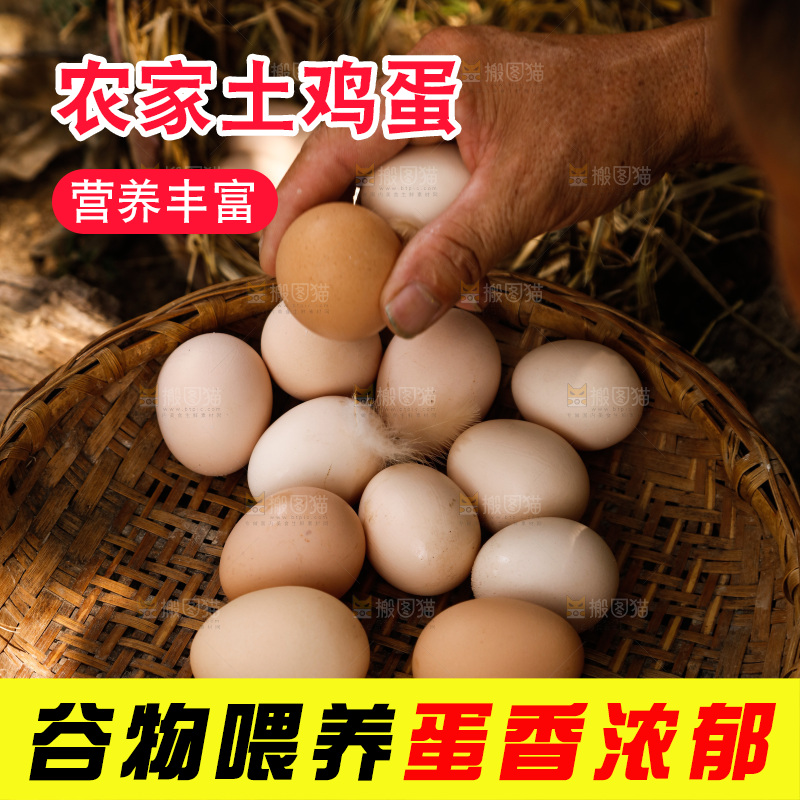 地上放着新鲜土鸡蛋