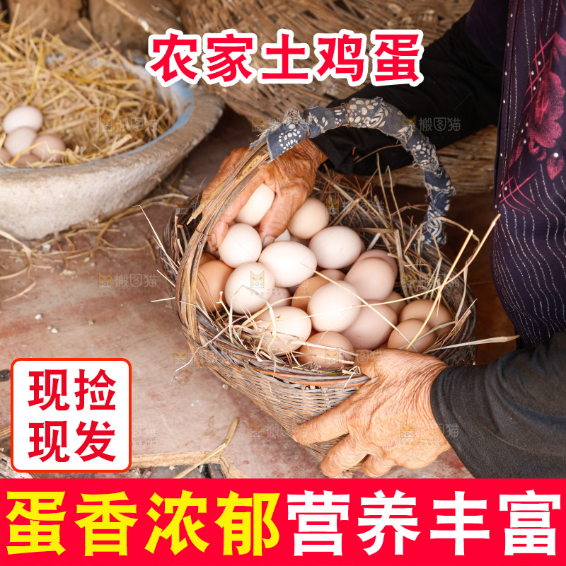 地上放着新鲜土鸡蛋
