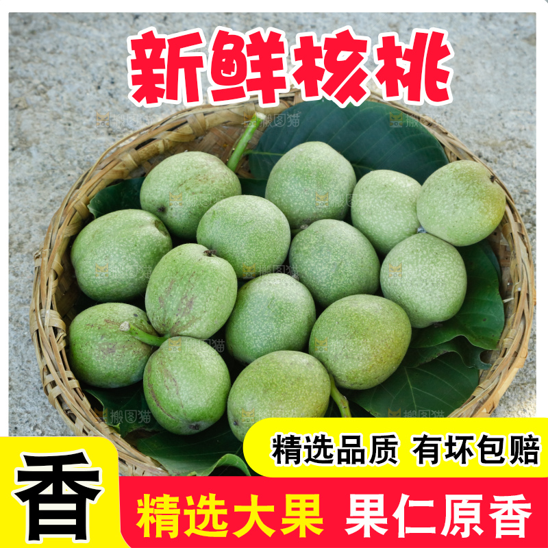 手里拿着青核桃