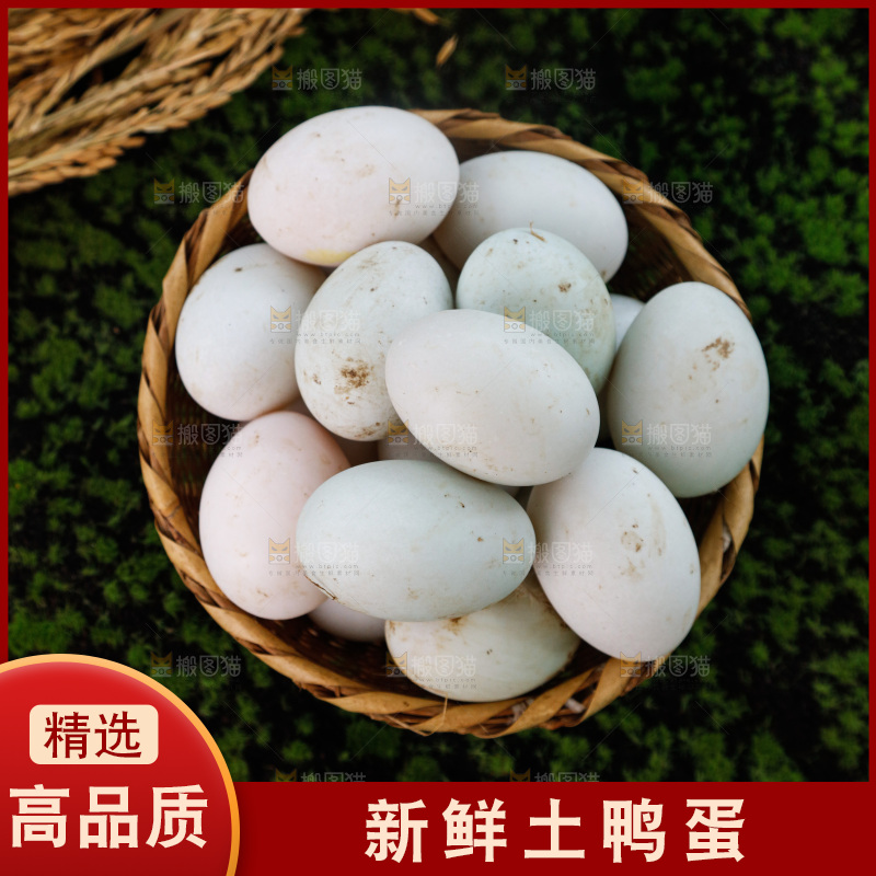 深底上的鸭蛋
