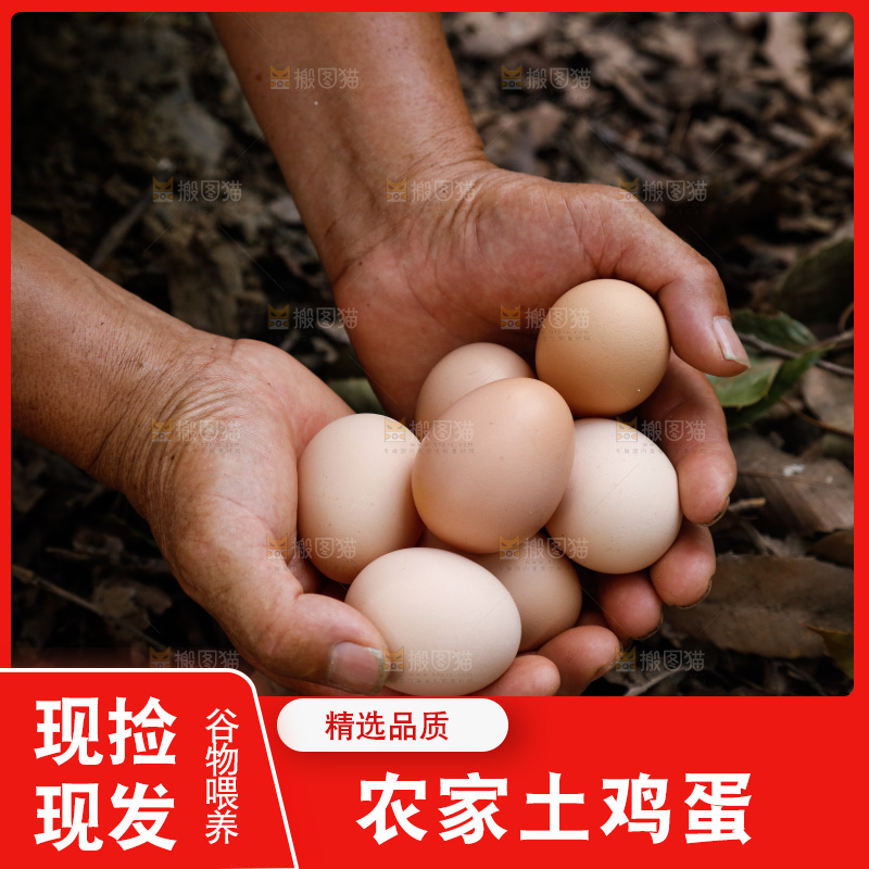 手里拿着土鸡蛋