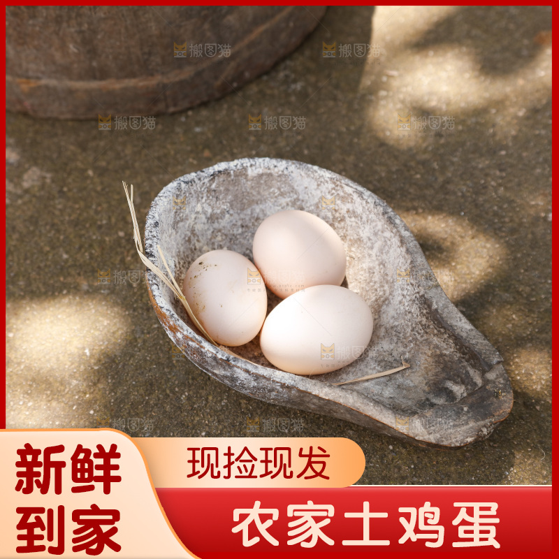 地上放着新鲜土鸡蛋