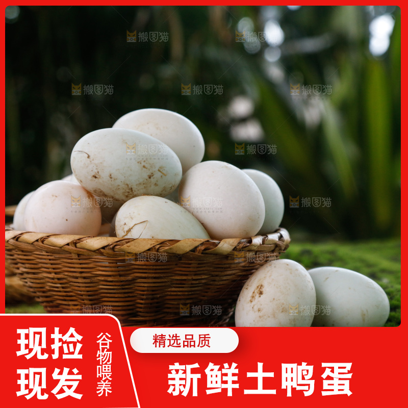 深底上的鸭蛋