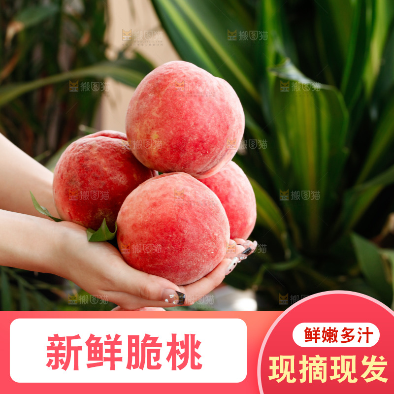 手里拿着苹果桃