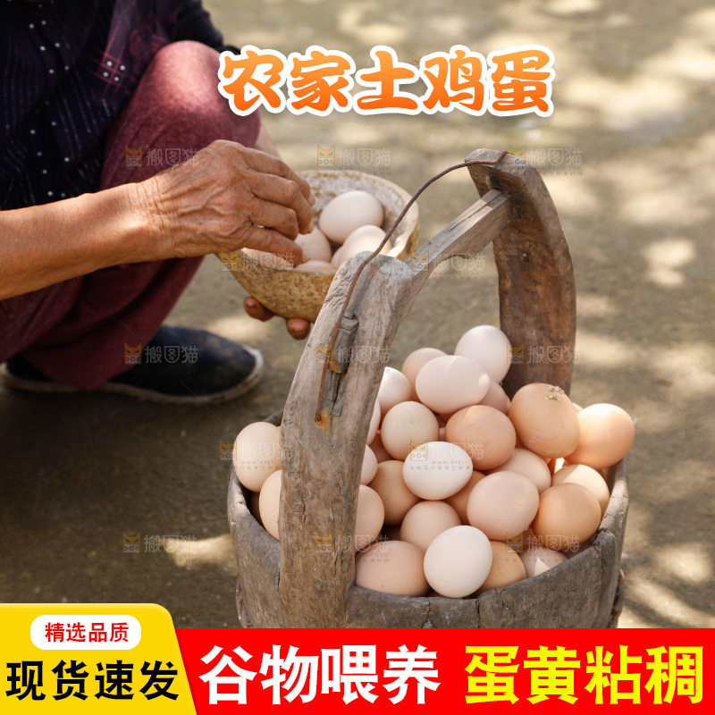 地上放着新鲜土鸡蛋