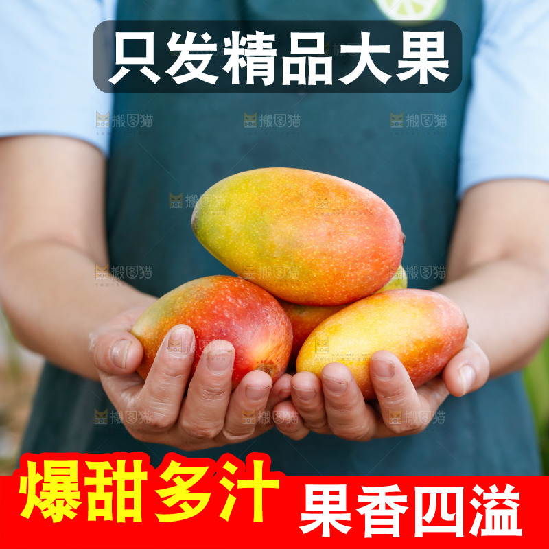 手里拿着贵妃芒