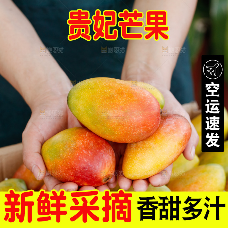 手里拿着贵妃芒