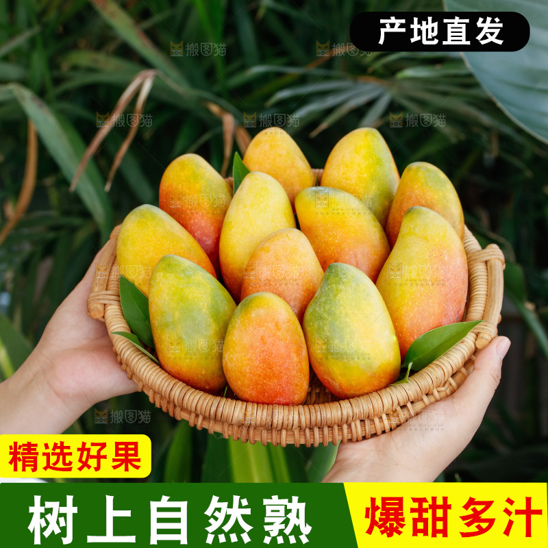 手里拿着贵妃芒