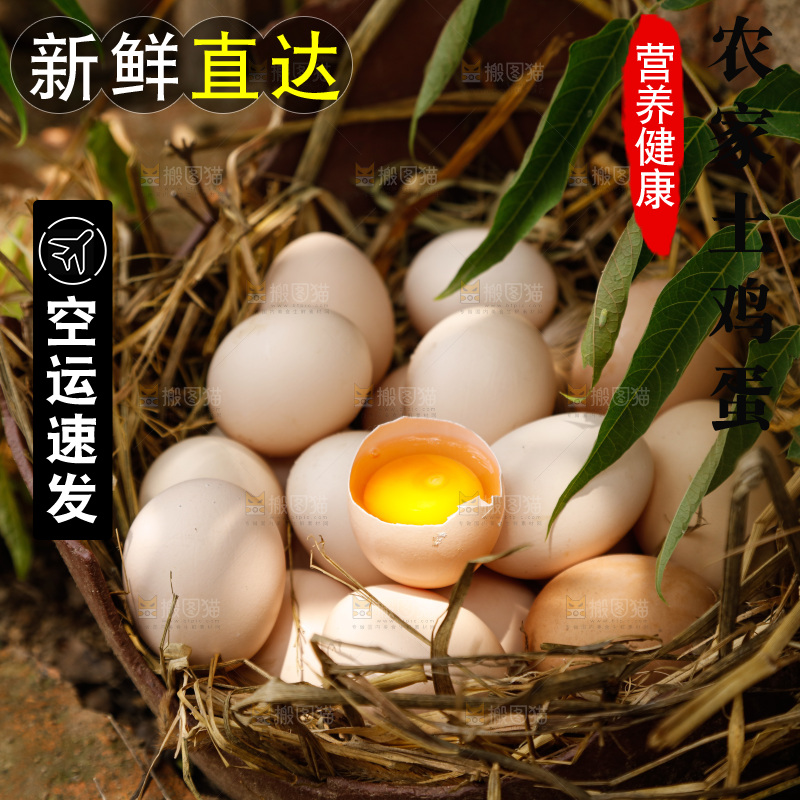 地上放着新鲜土鸡蛋