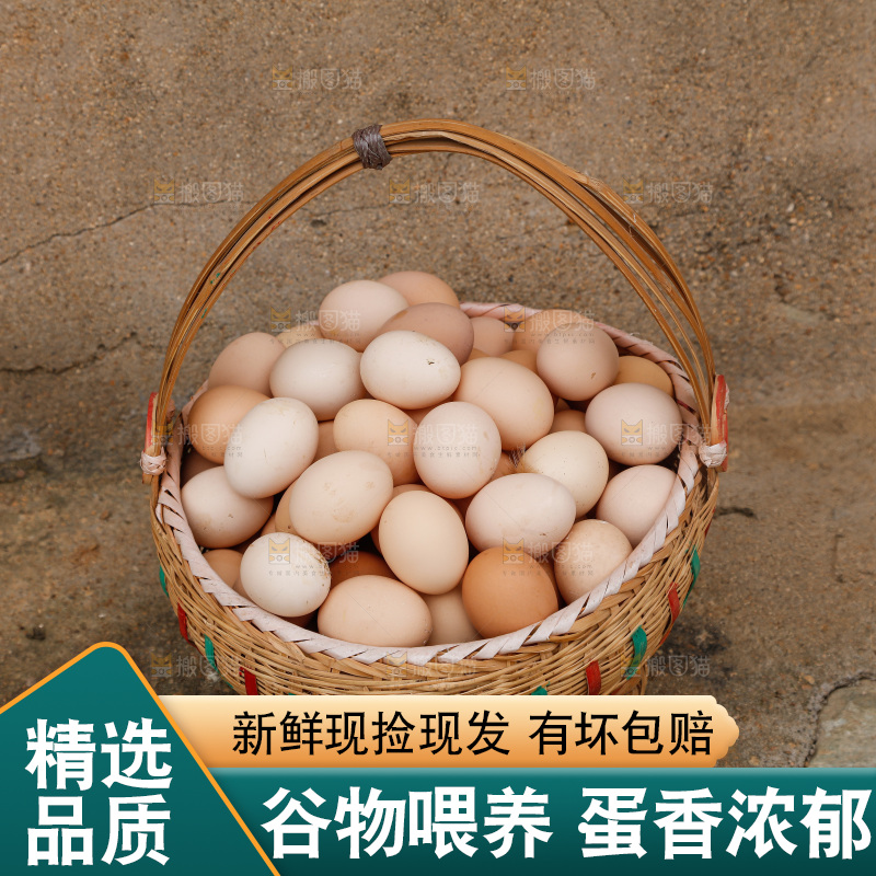地上放着新鲜土鸡蛋