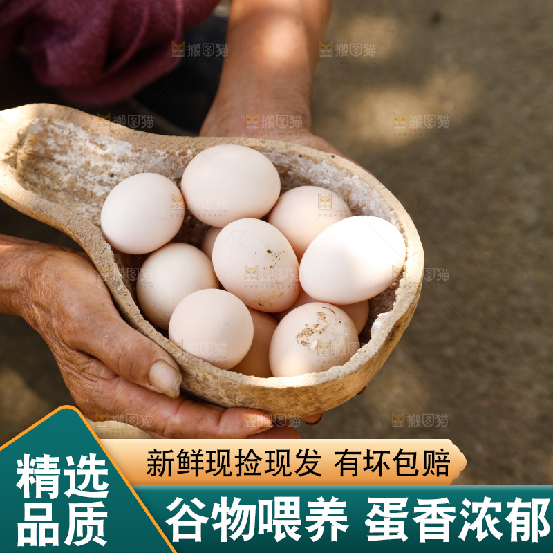 地上放着新鲜土鸡蛋