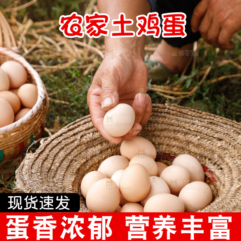 地上放着新鲜土鸡蛋