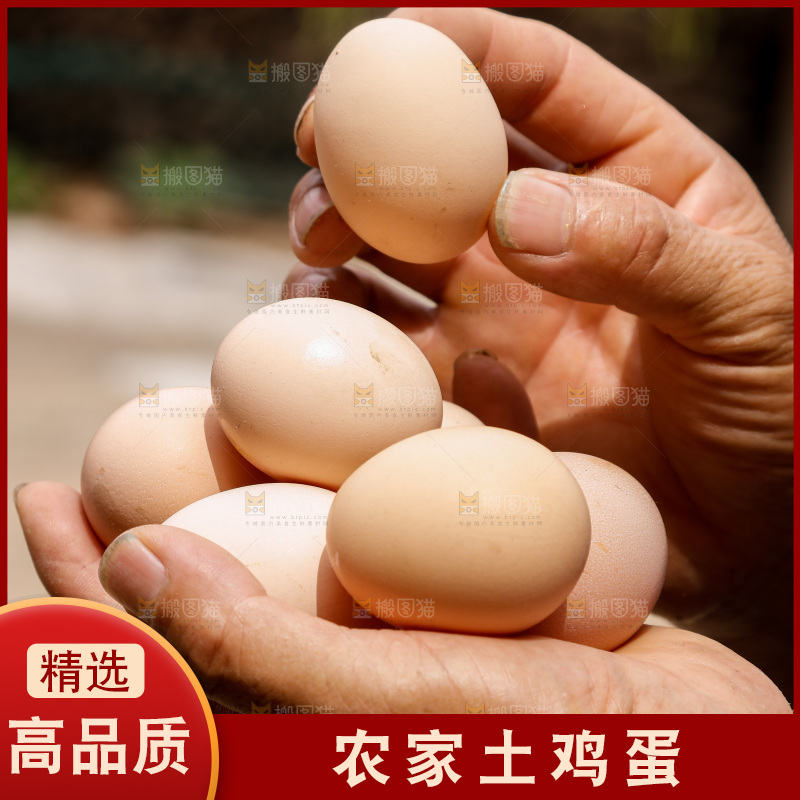 手里拿着土鸡蛋