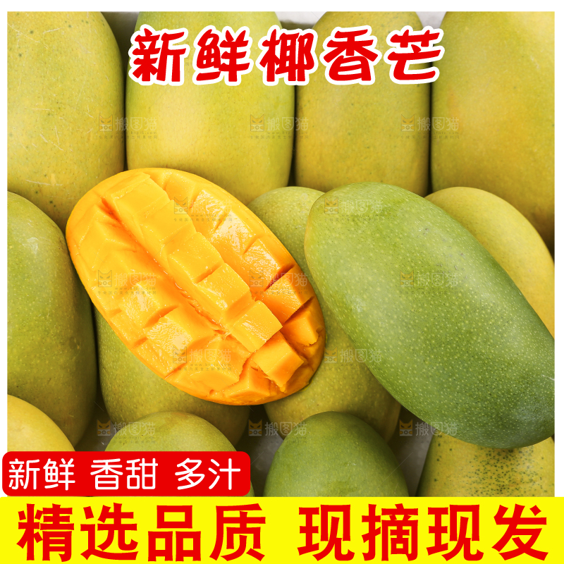 深底上的椰香芒