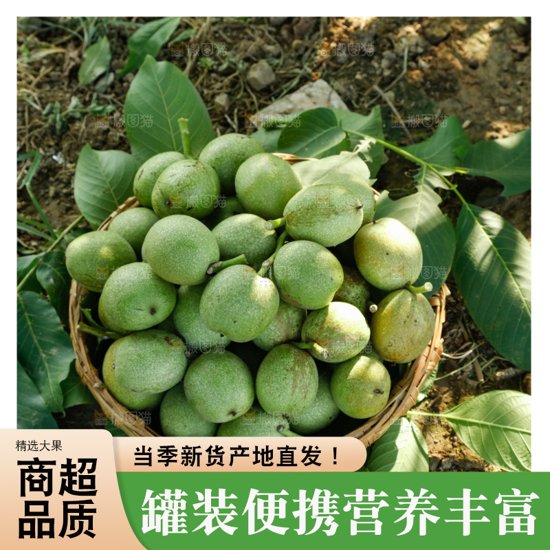 树上的新鲜青核桃