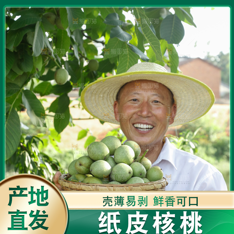 手里拿着青核桃