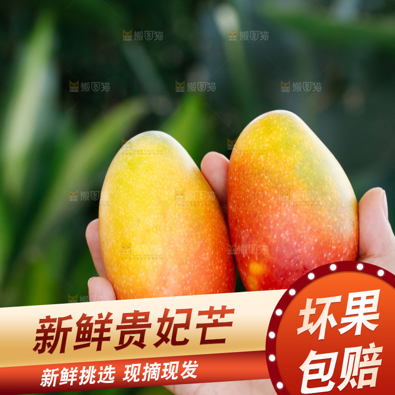 手里拿着贵妃芒
