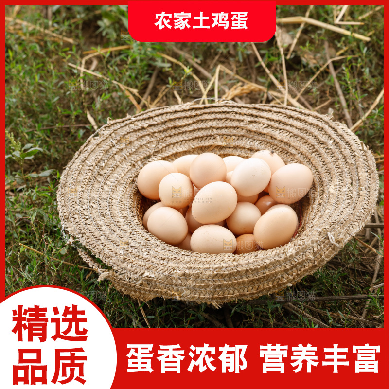 地上放着新鲜土鸡蛋