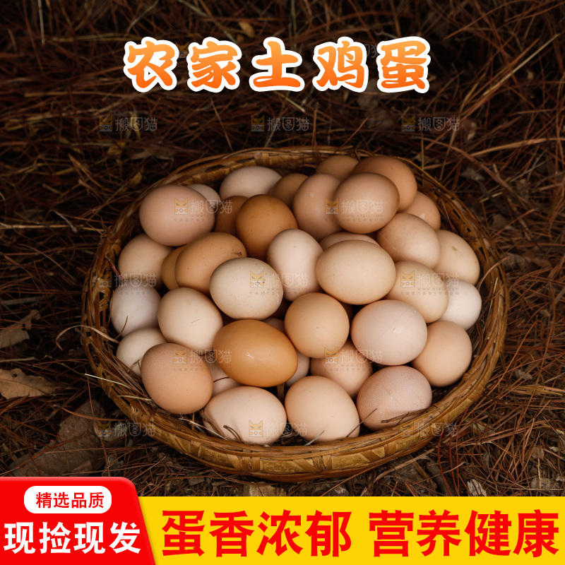 地上放着新鲜土鸡蛋