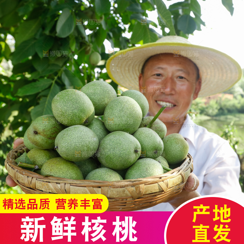 手里拿着青核桃