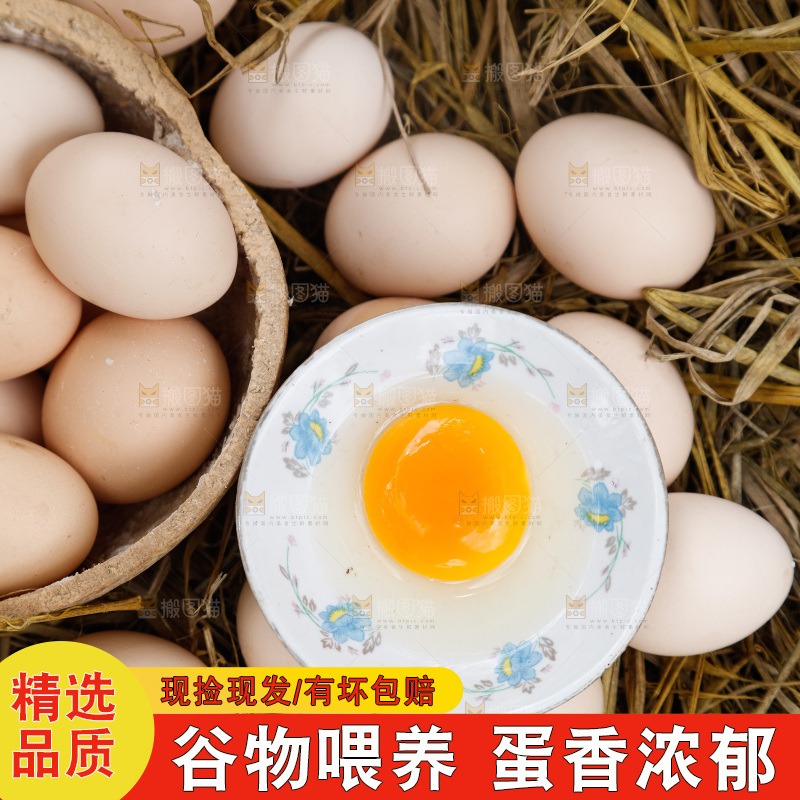 地上放着新鲜土鸡蛋