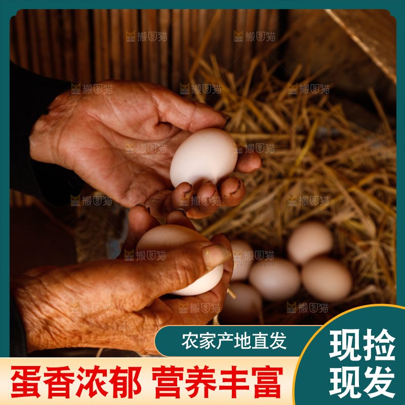 地上放着新鲜土鸡蛋