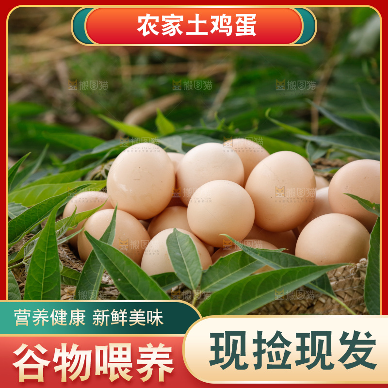 地上放着新鲜土鸡蛋