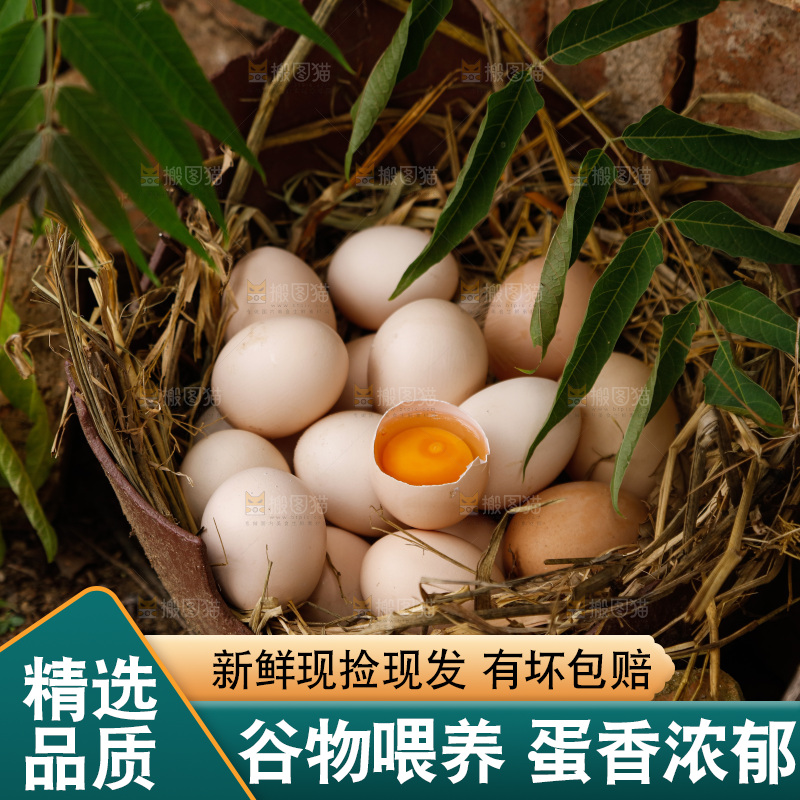 地上放着新鲜土鸡蛋