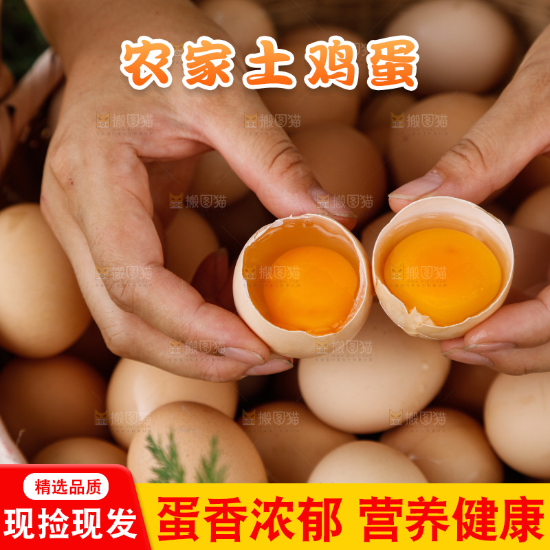 地上放着新鲜土鸡蛋