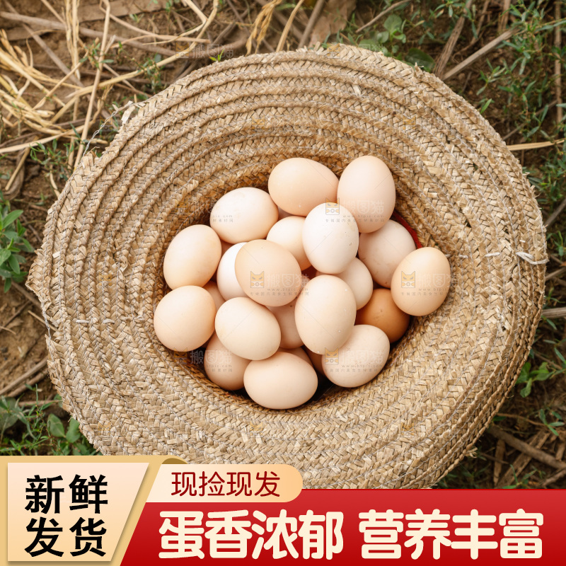 地上放着新鲜土鸡蛋