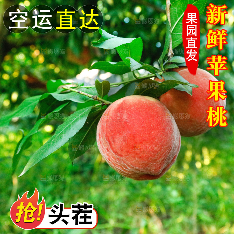 树上的新鲜脆桃