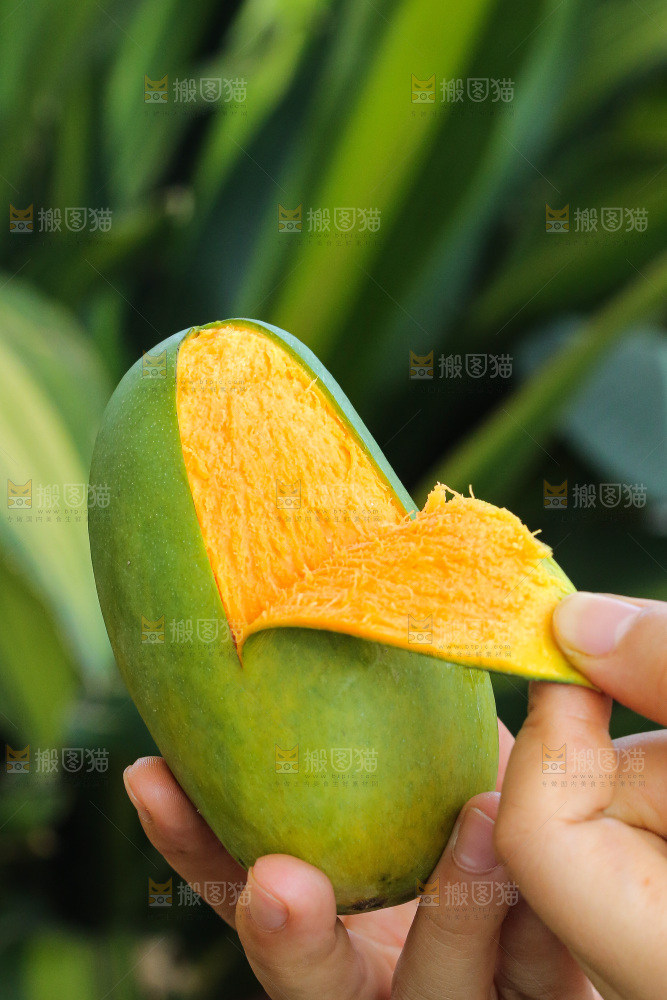 手里拿着椰香芒