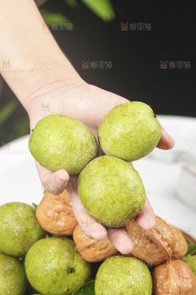 浅底上的青核桃