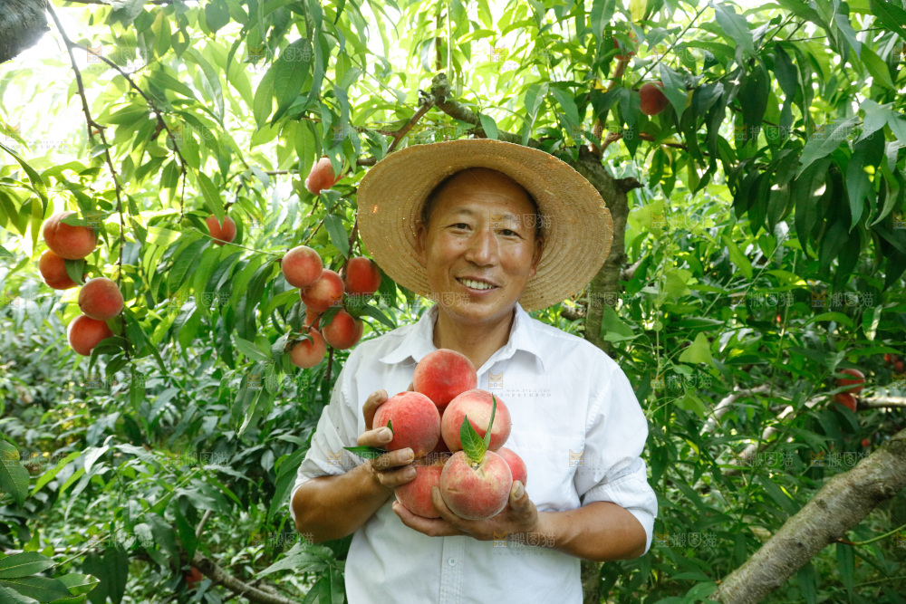 手里拿着苹果桃