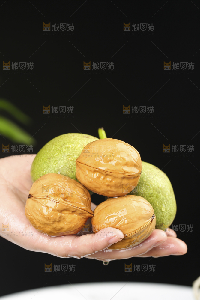 浅底上的青核桃